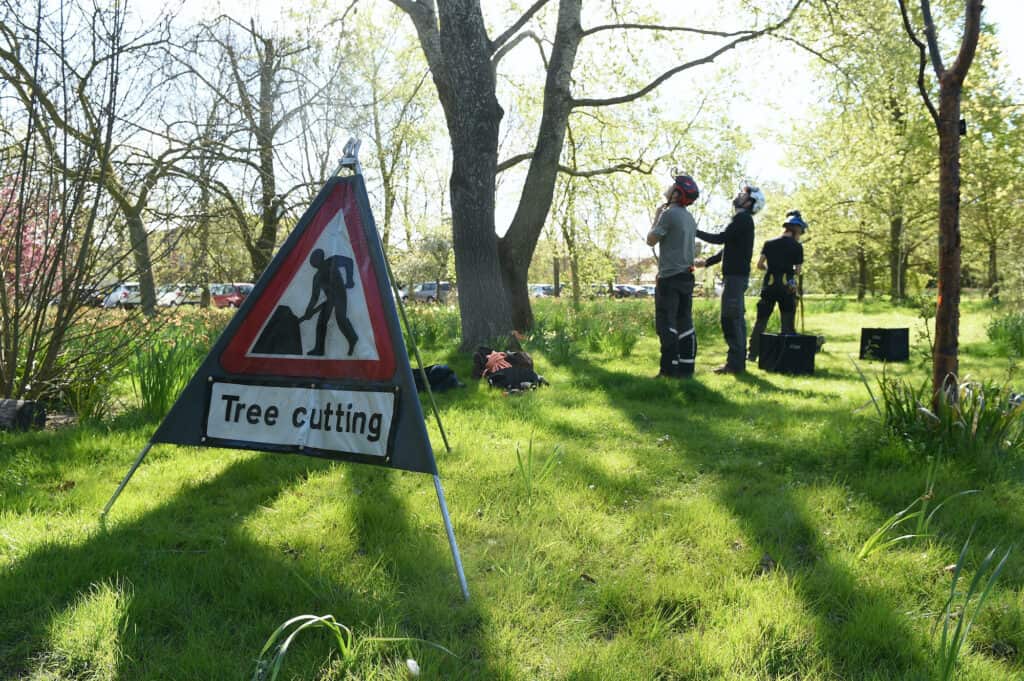 Adult arboriculture learners in an outdoor tree felling session.