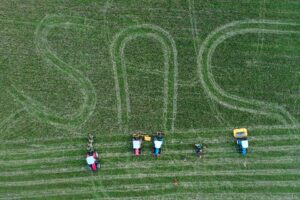 Drone photo of agriculture students who have cut the letters SNC into crops.