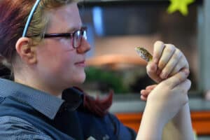 Animal learner with lizard