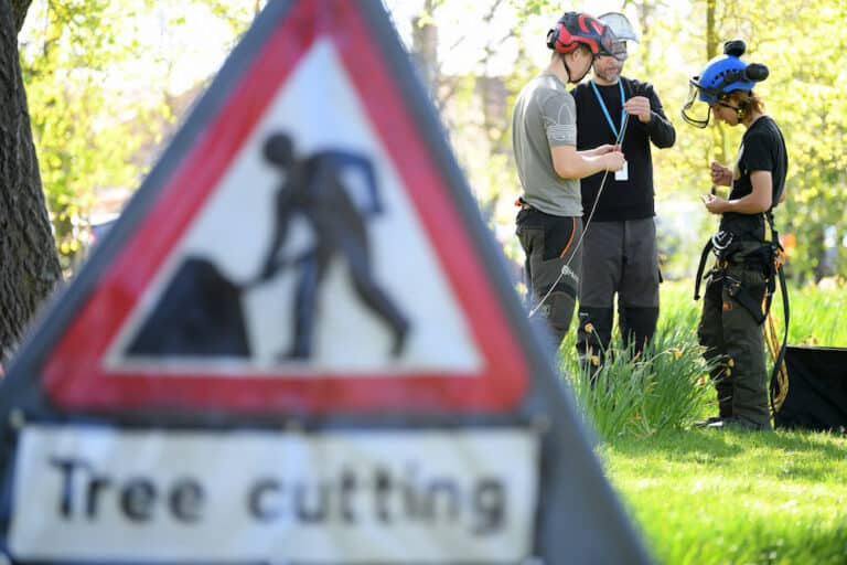 Close up of learners in wooded area with Tree Cutting warning sign.