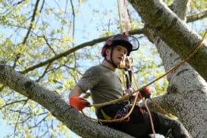 Learner wearing PPE climbing a tree.