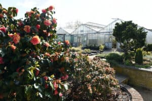 The horticulture gardens at Suffolk Rural