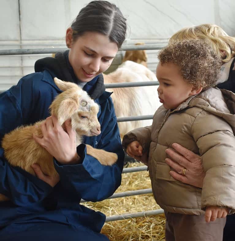 Visitors at Spring Family Farm Day