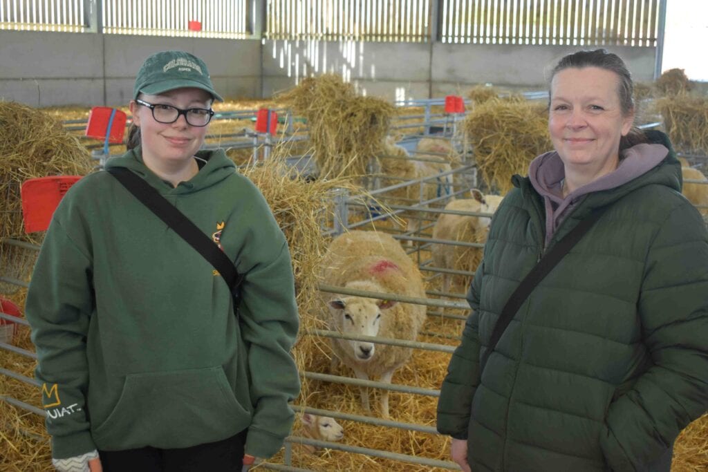 visitors to farm with sheep