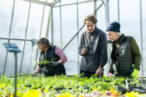 Horticulture learners in glass house
