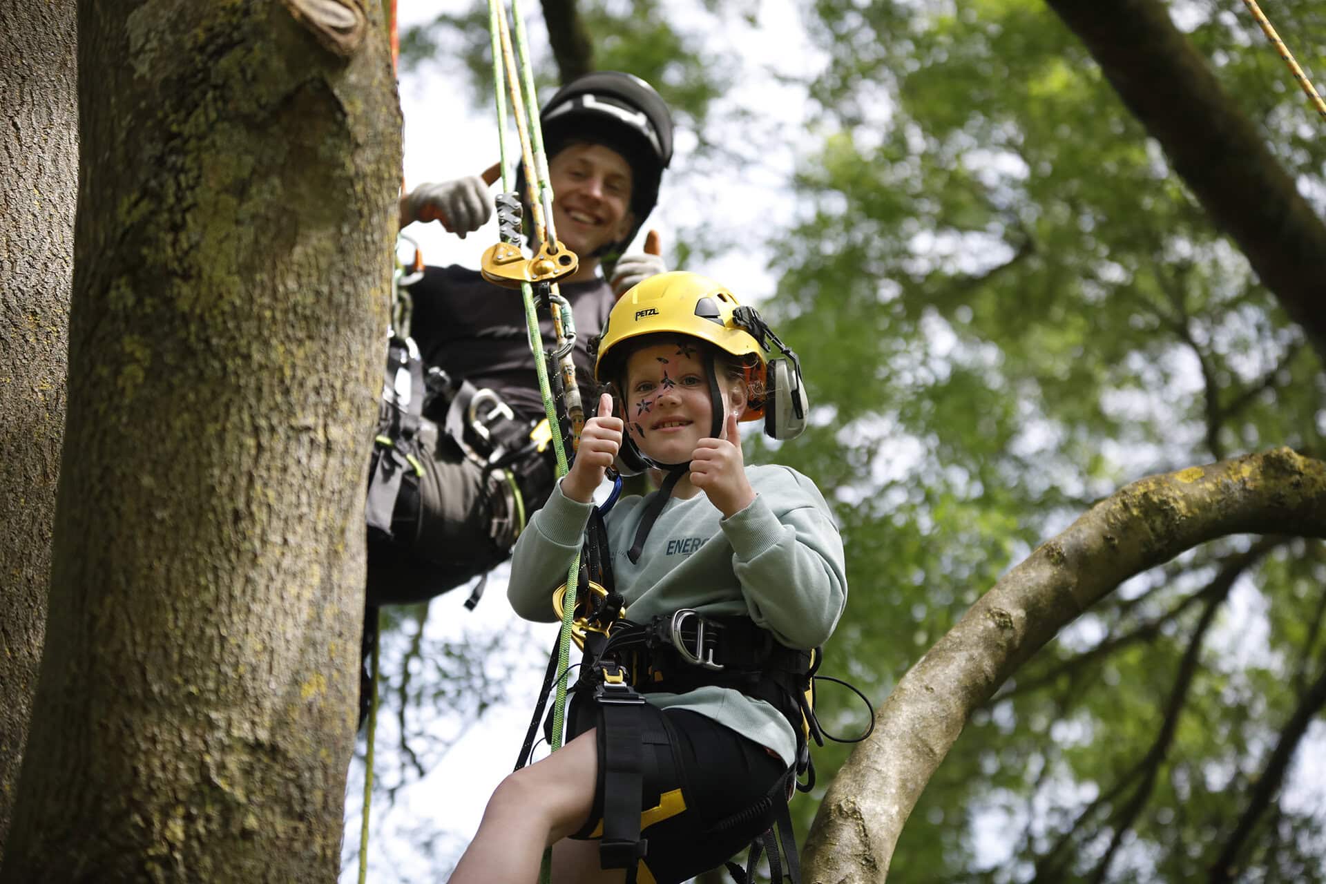 child climbing tree