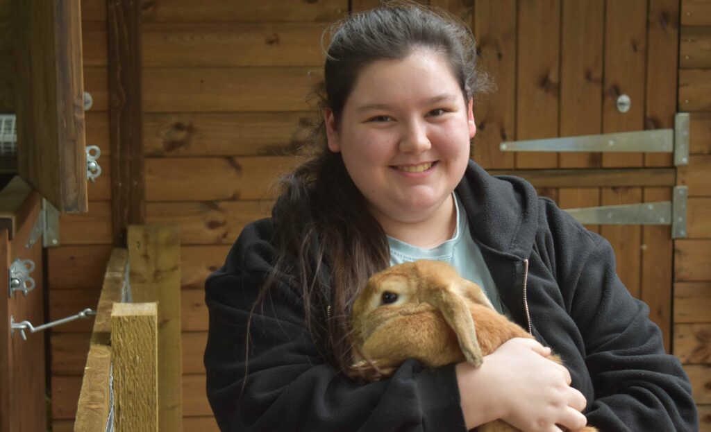College learner with Rabbit