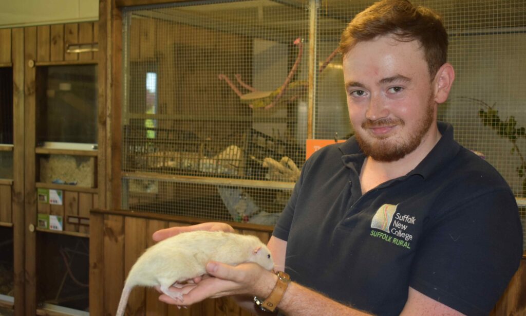 Animal handler with rat