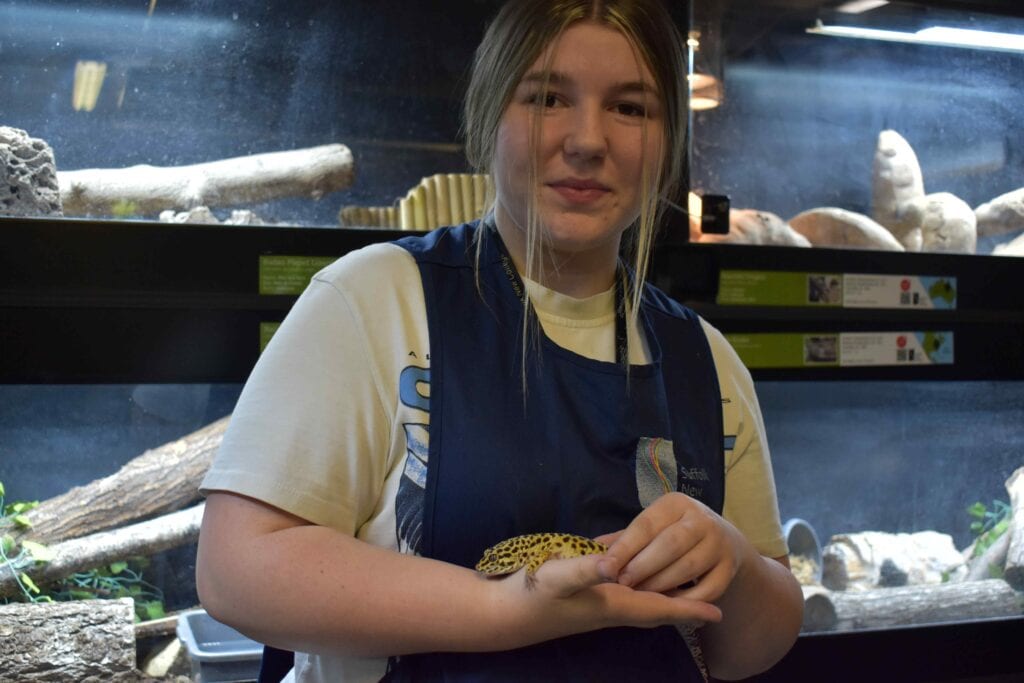 Student holding a leopard gecko in front of a terrarium at Suffolk New College, demonstrating zoology and animal care courses.