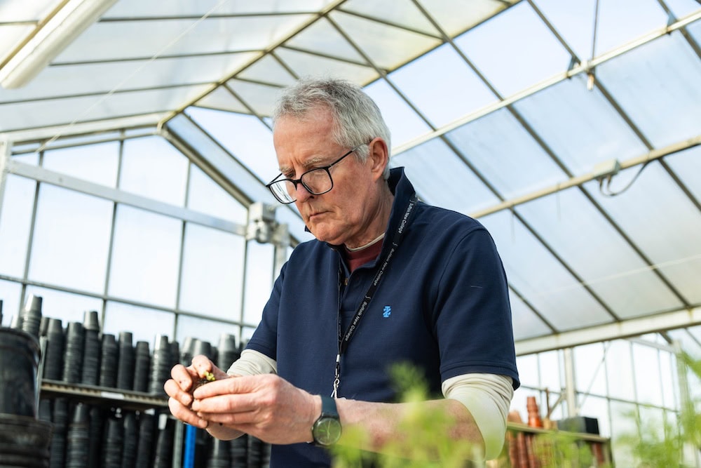 Greenhouse horticulture student at Suffolk New College caring for plants.