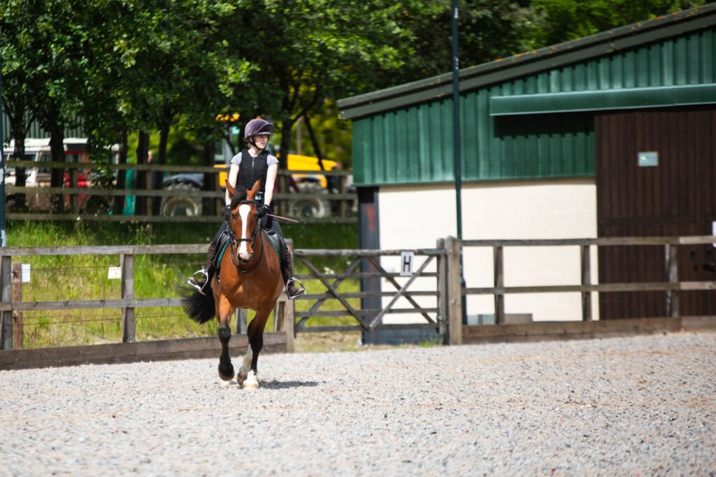 A young woman riding a horse in an outdoor equestrian arena at Suffolk New College, showcasing equine studies and riding courses.
