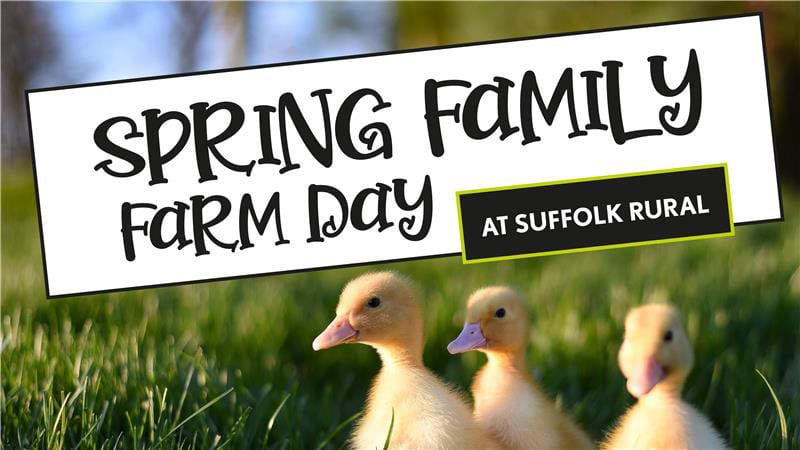 A welcoming spring family event at Suffolk Rural featuring farm animals, activities, and outdoor fun at Suffolk New College. Perfect for children and families interested in rural life.