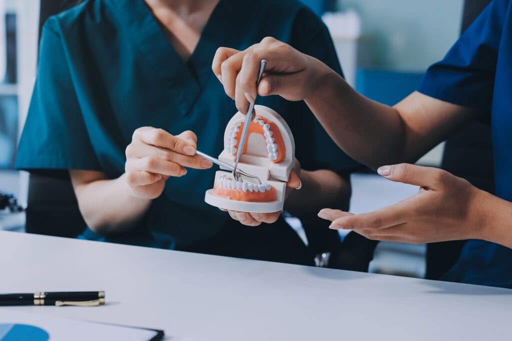 Two dental nursing students practicing oral care techniques with a dental model, demonstrating skills essential for a career in dental nursing at Suffolk New College.