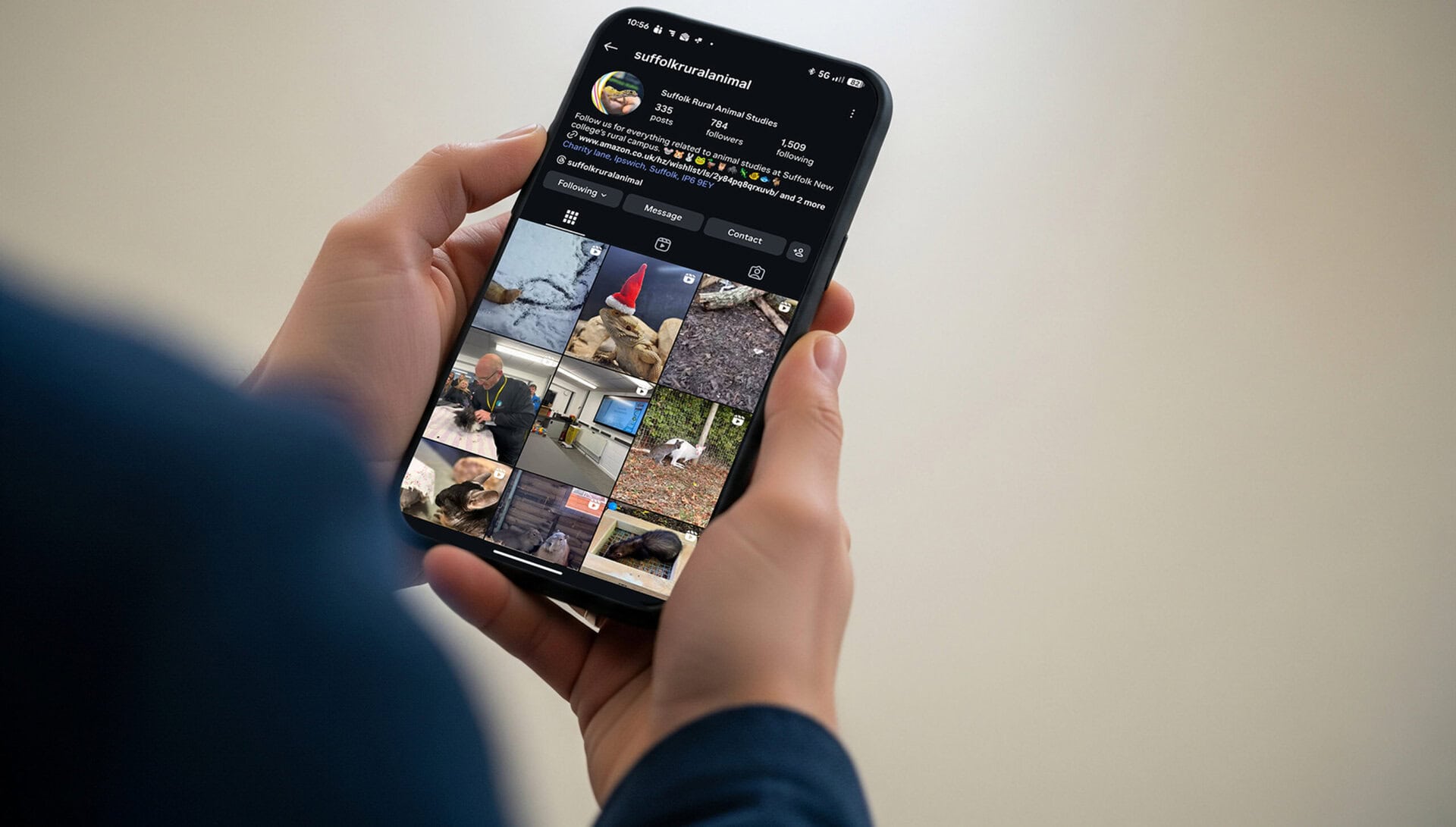 Person holding a smartphone displaying Suffolk New College's Instagram profile, showcasing animal management courses and related activities.