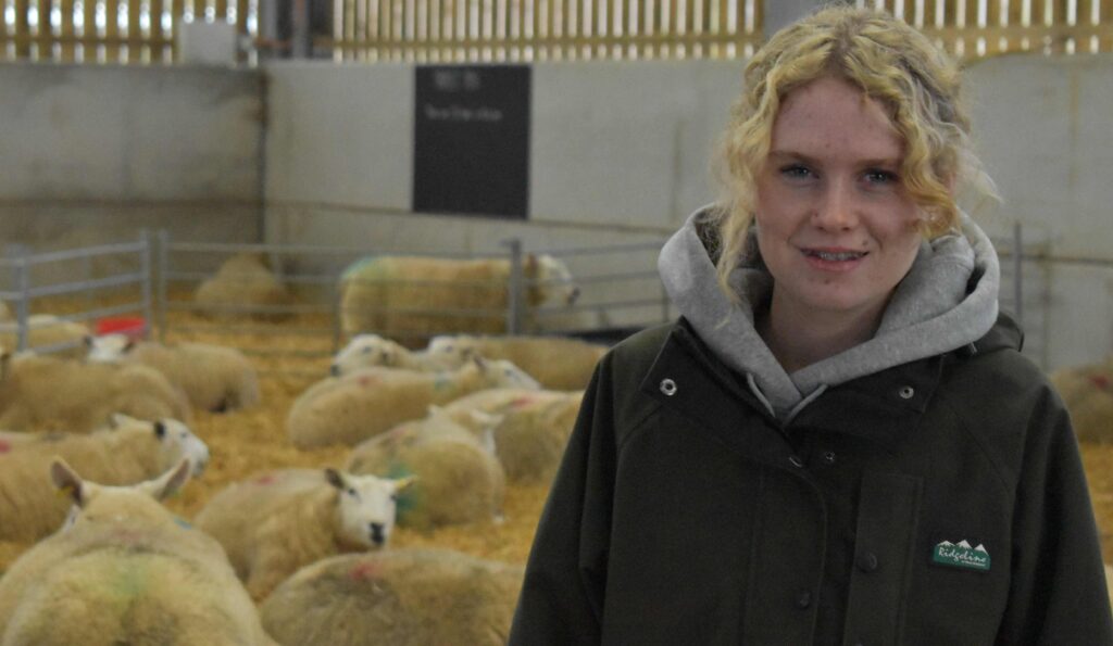 A young woman with curly blonde hair in a black jacket standing in a sheep barn at Suffolk New College, highlighting female participation in rural farming education.