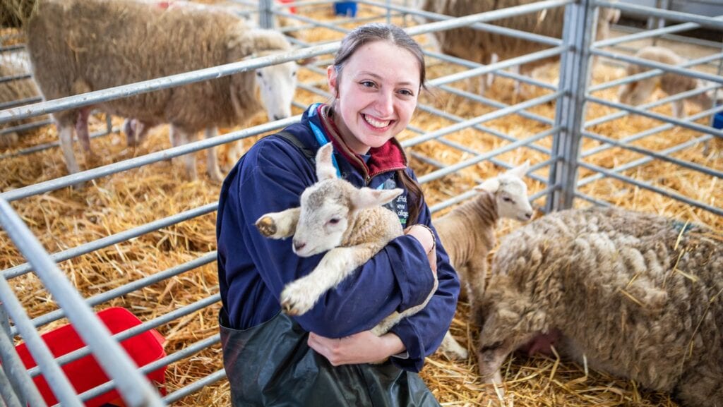 A smiling student holding a lamb in a farm animal care training environment at Suffolk New College, with sheep in the background, showcasing practical agricultural education.