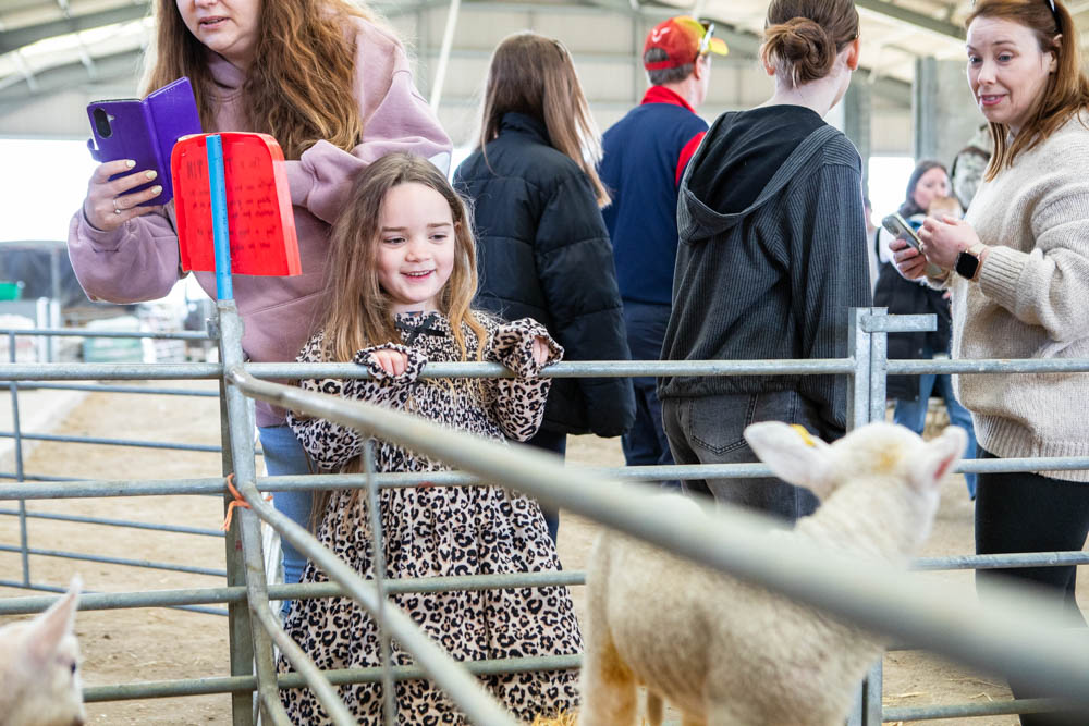 Children and families enjoying lambtastic spring fun day at Suffolk New College, with kids petting lambs and engaging in farm activities.