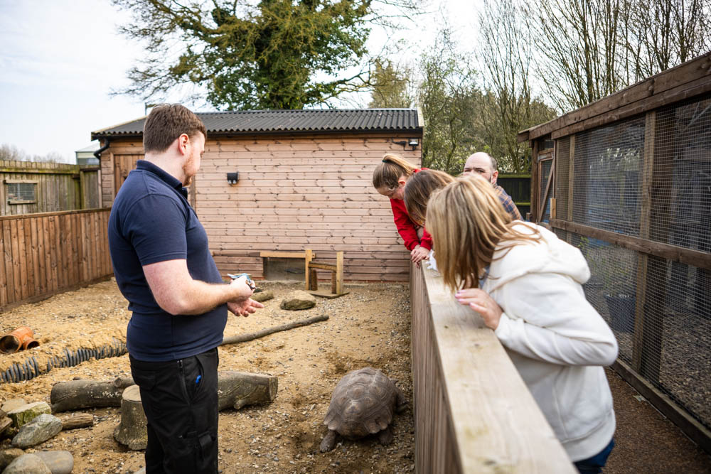 Family visitors at Suffolk New College enjoying a spring outdoor event with animals and activities, part of the 'lambtastic' family fun day attracting many families.