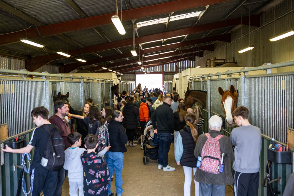 Visitors enjoying the 'lambtastic' spring family fun day at Suffolk New College, featuring farm animals and activities for all ages.