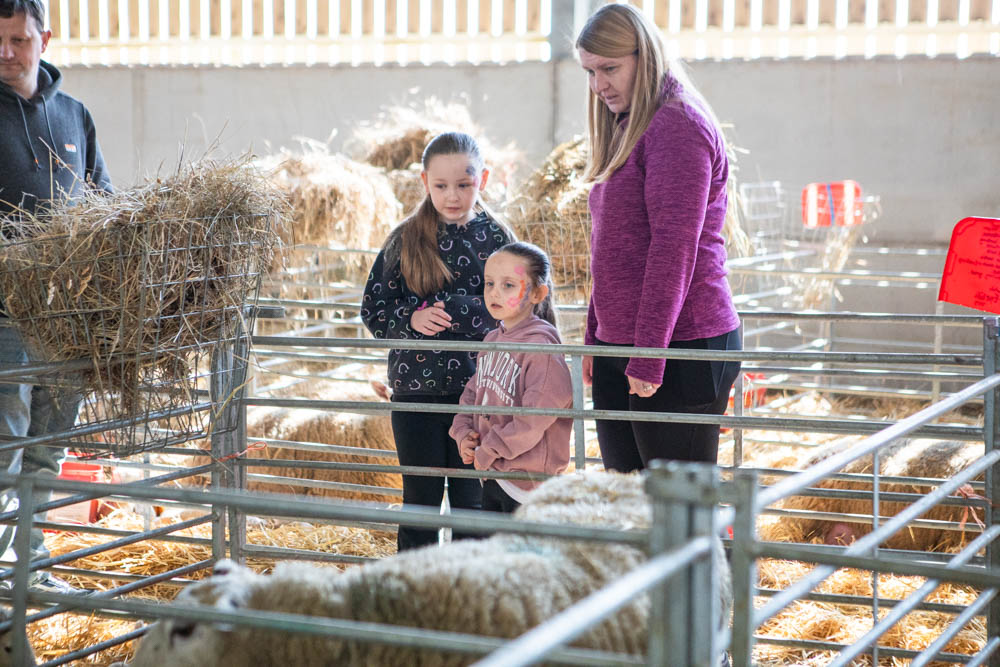 Children and adults enjoying lambtastic spring family fun day at Suffolk New College, exploring farm animals and engaging in outdoor activities.