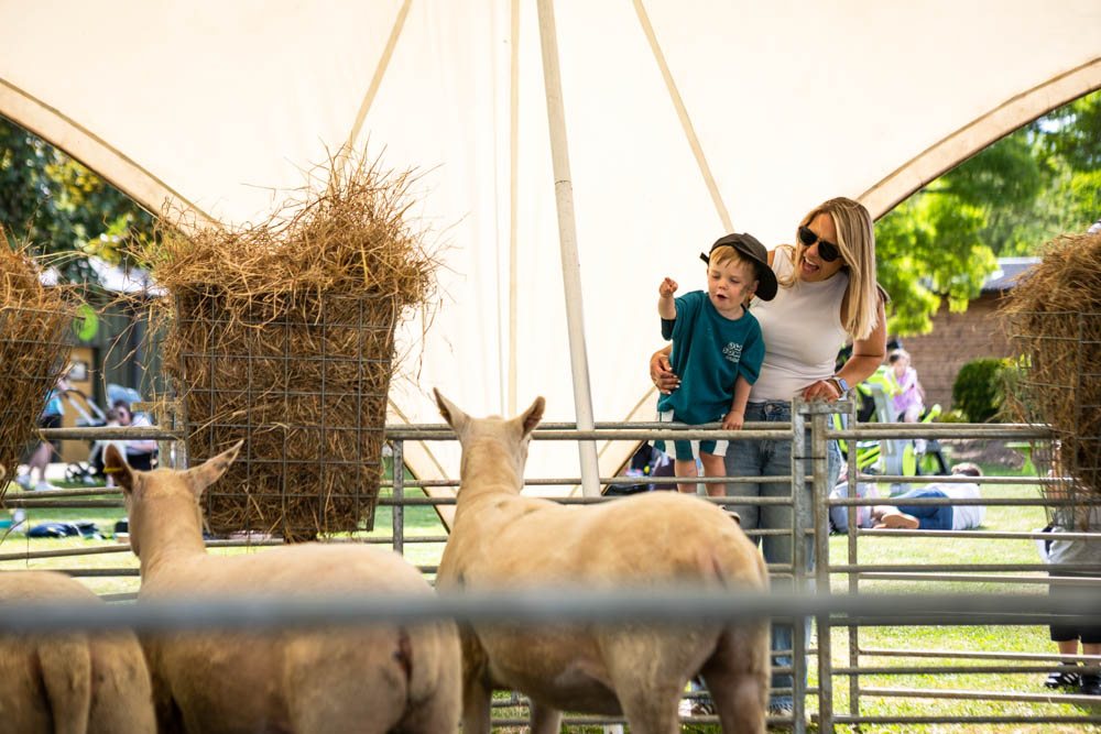 Family enjoying a sunny day at Suffolk New College's annual family fun event, with children and adults interacting with farm animals in a lively outdoor setting.