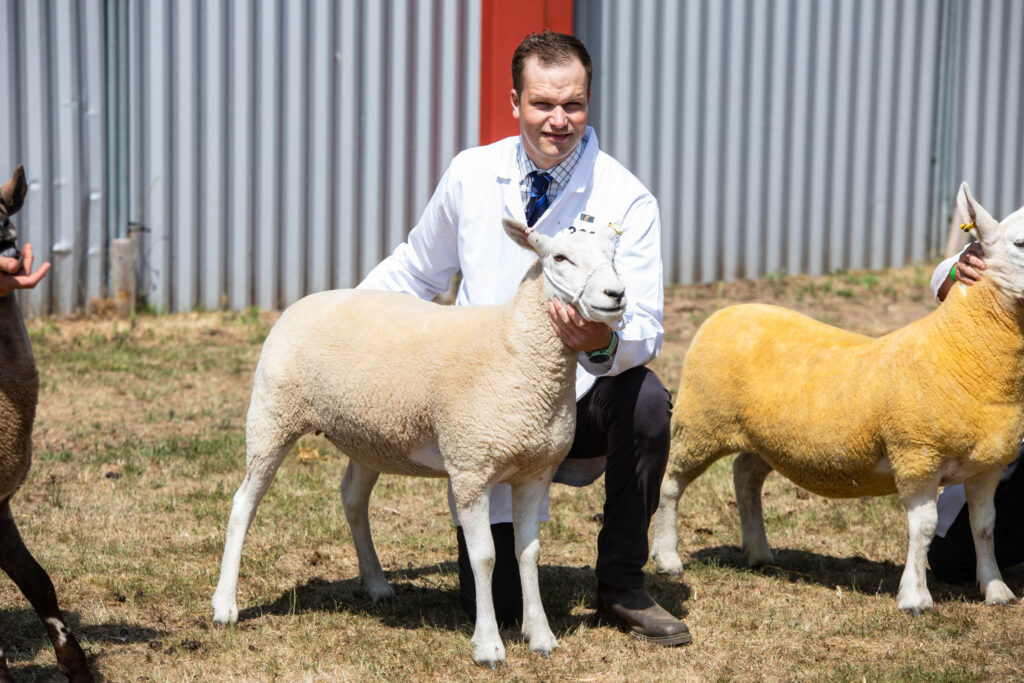 Student at Suffolk New College handling a sheep during an agricultural or livestock management training session outdoors.