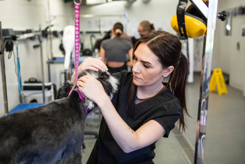 A female veterinary student examining a dog during a practical training session at Suffolk New College, focusing on animal care and veterinary skills development.